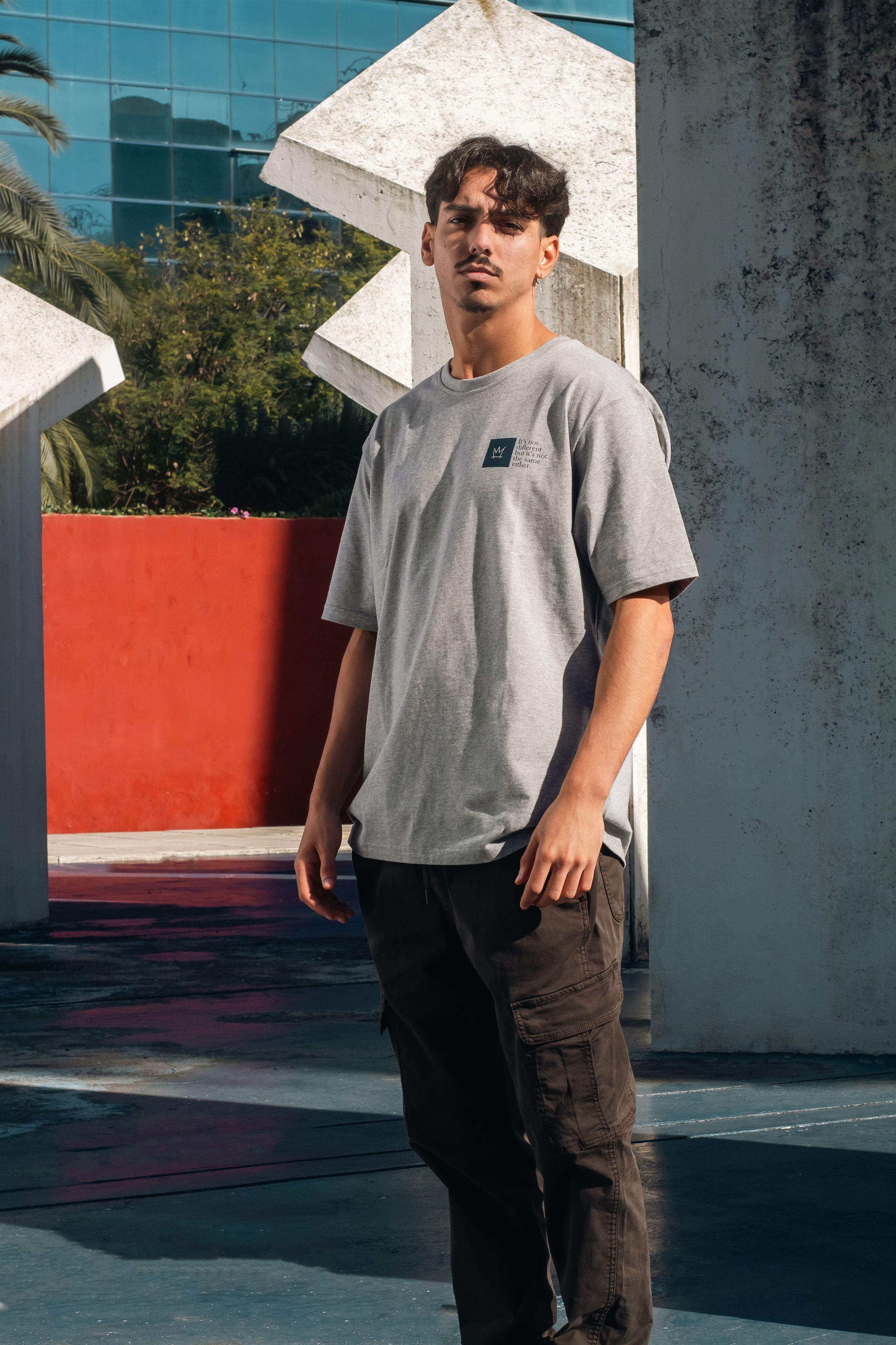 Camiseta Script Gris